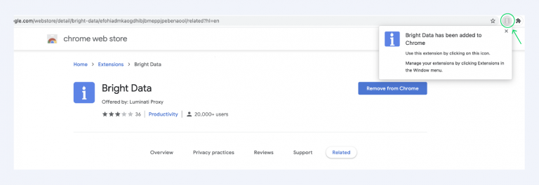 Proxy Chrome Extension - Installation Guide