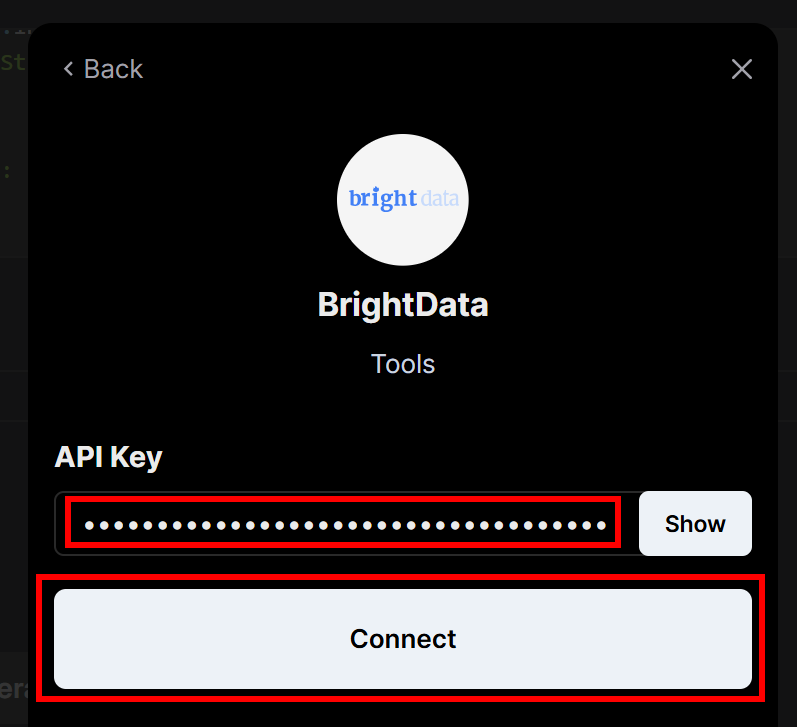 Pasting your Bright Data API key and pressing “Connect”