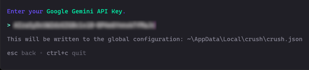 Entering your Google Gemini API key