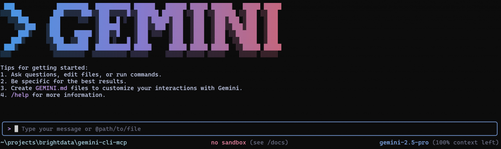 Gemini CLIのプロンプト表示