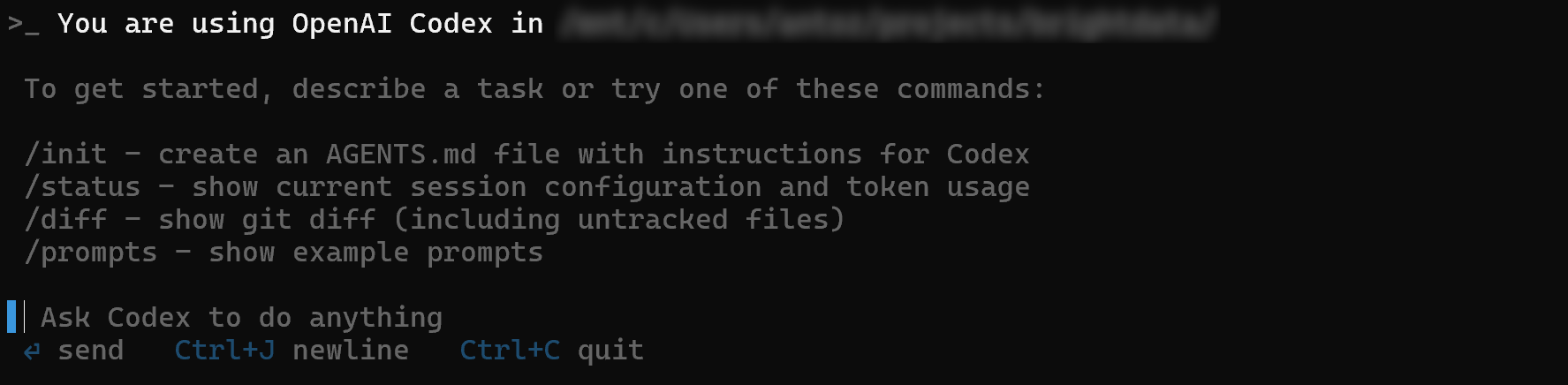 The OpenAI Codex CLI prompting view