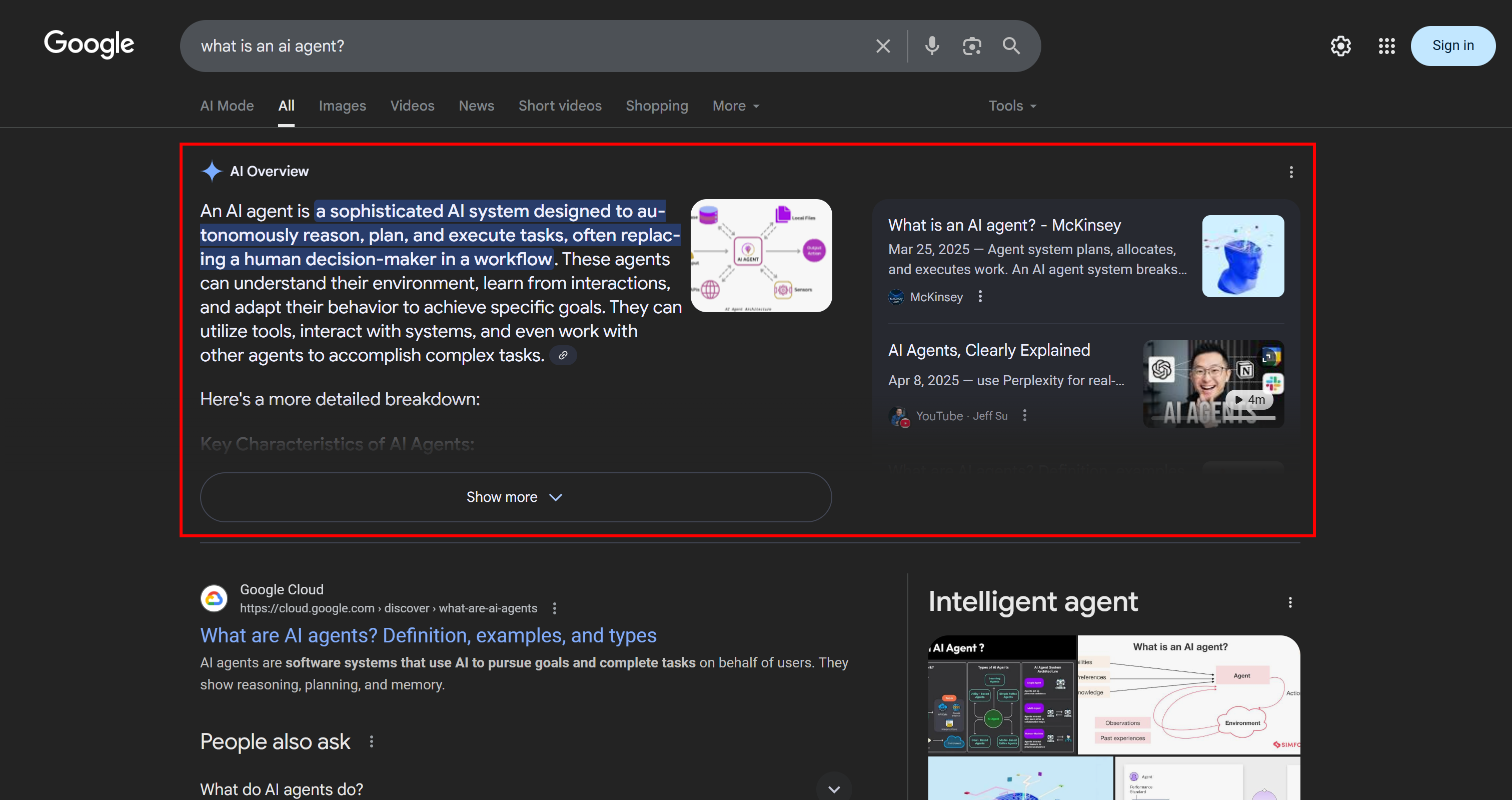 An example of a Google AI Overview