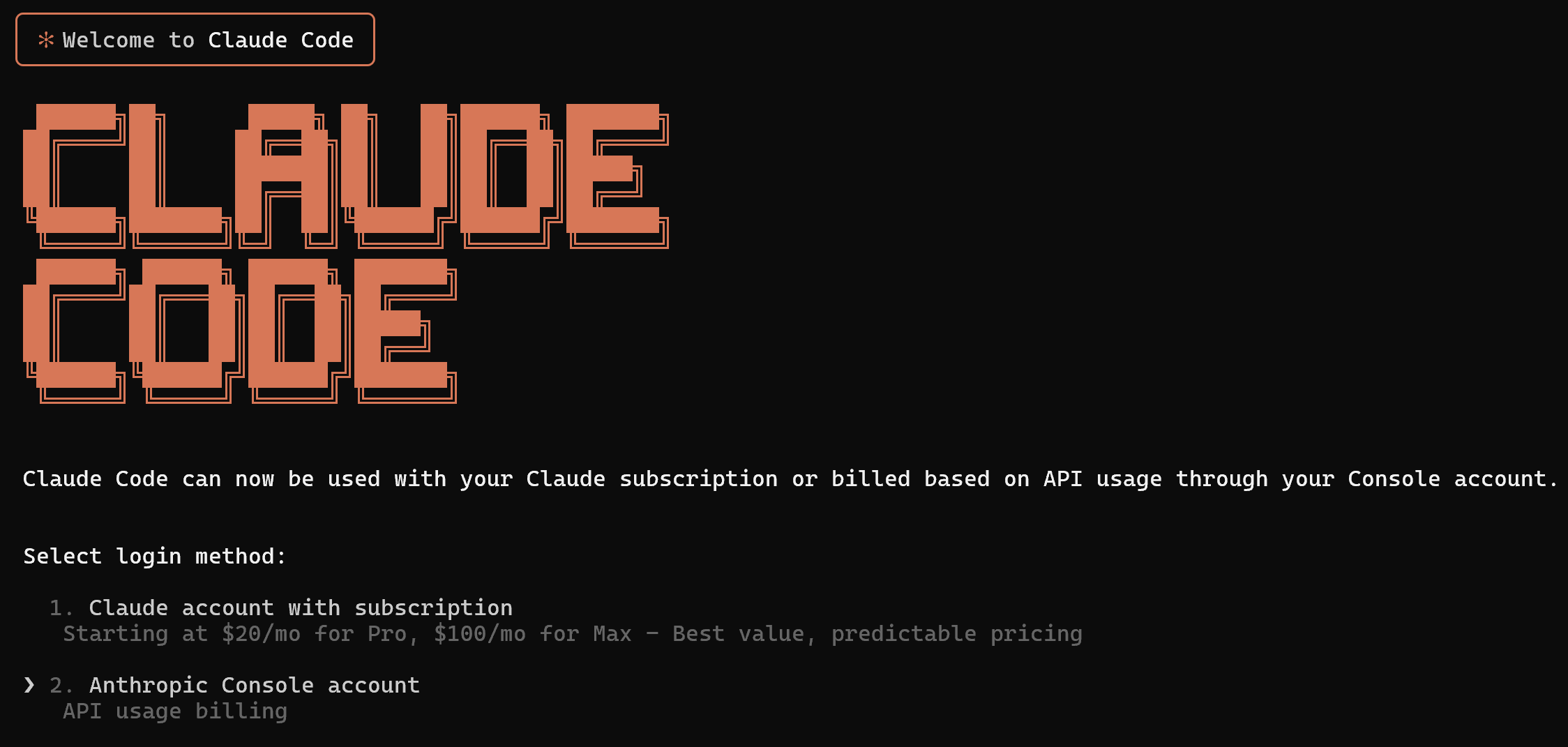 The Claude Code authorization view
