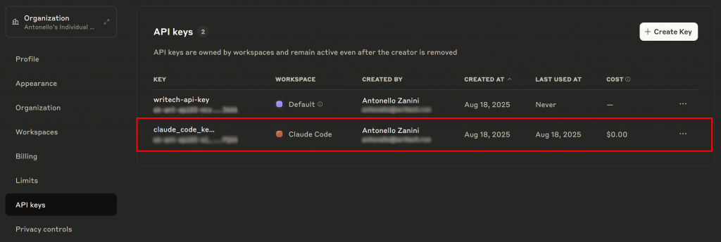 The API key generated by Claude Code