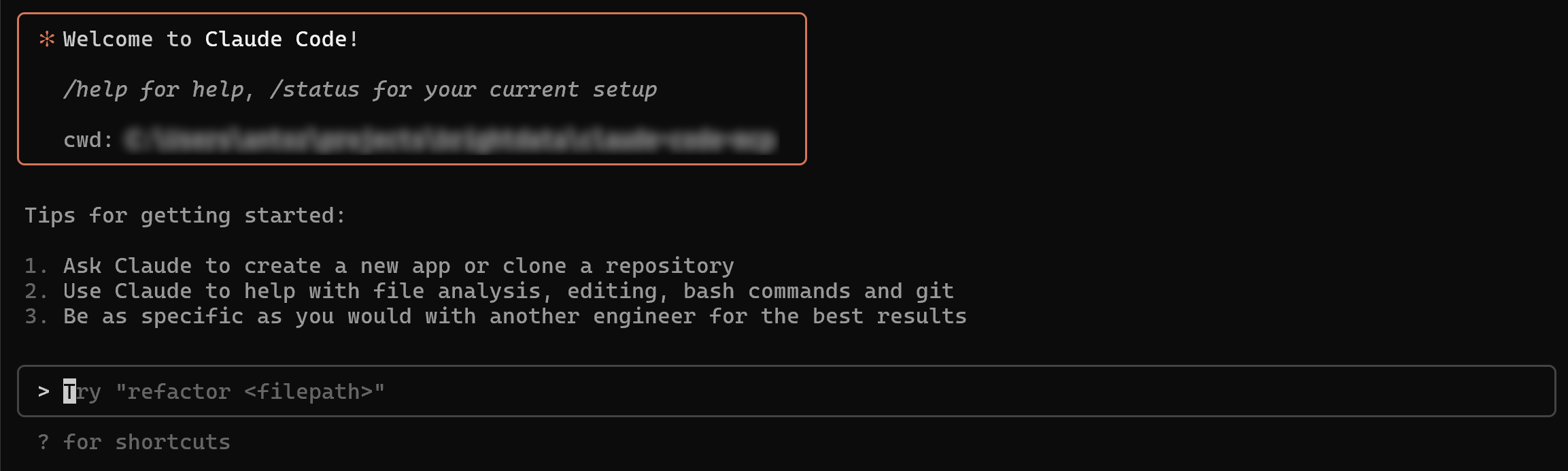 The Claude Code CLI