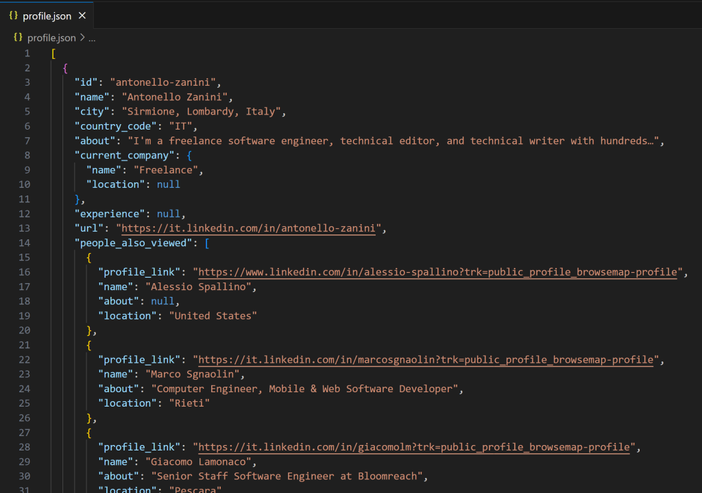 The profile.json file in VS Code