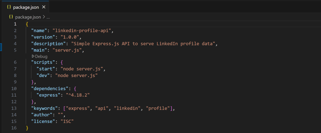 The package.json file in VS Code