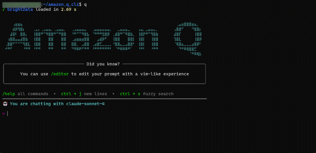 Task execution in Amazon Q Developer CLI