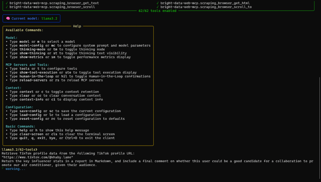 The prompt execution in ollmcp