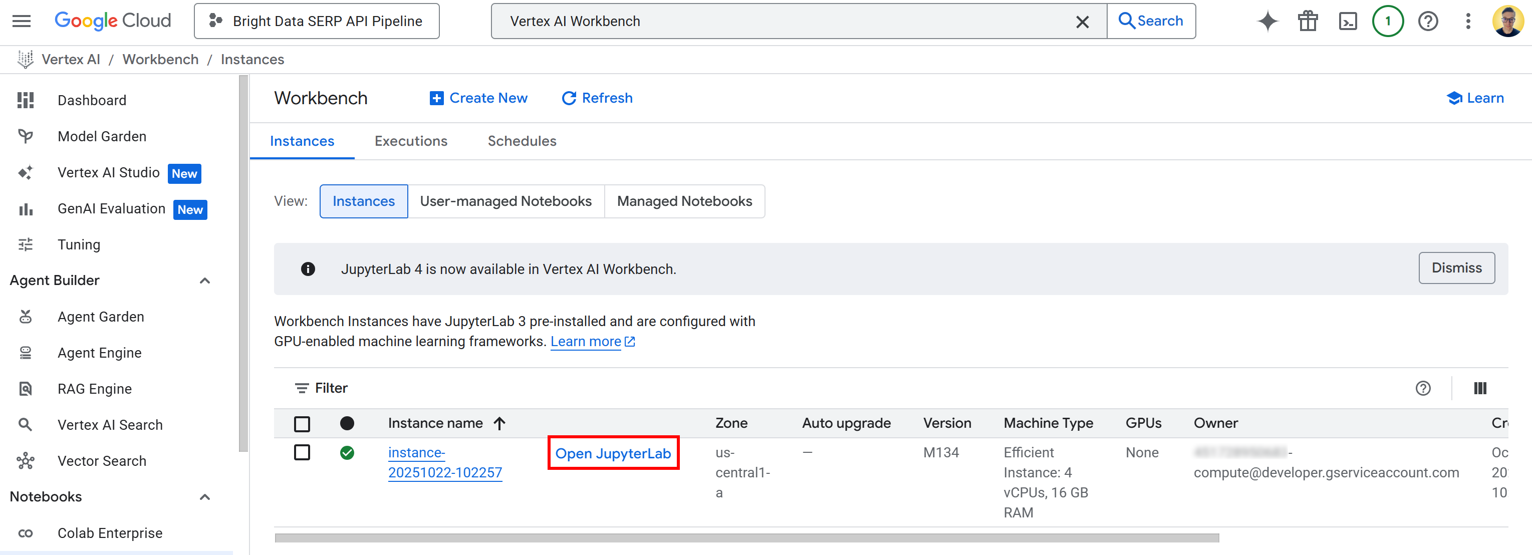 Following the “Open JupyterLab” link