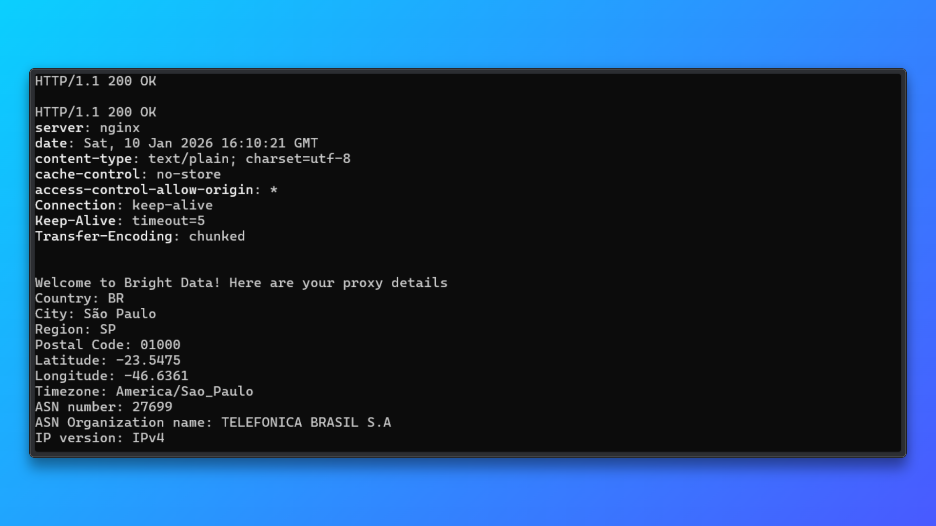 Successful Response after running the command