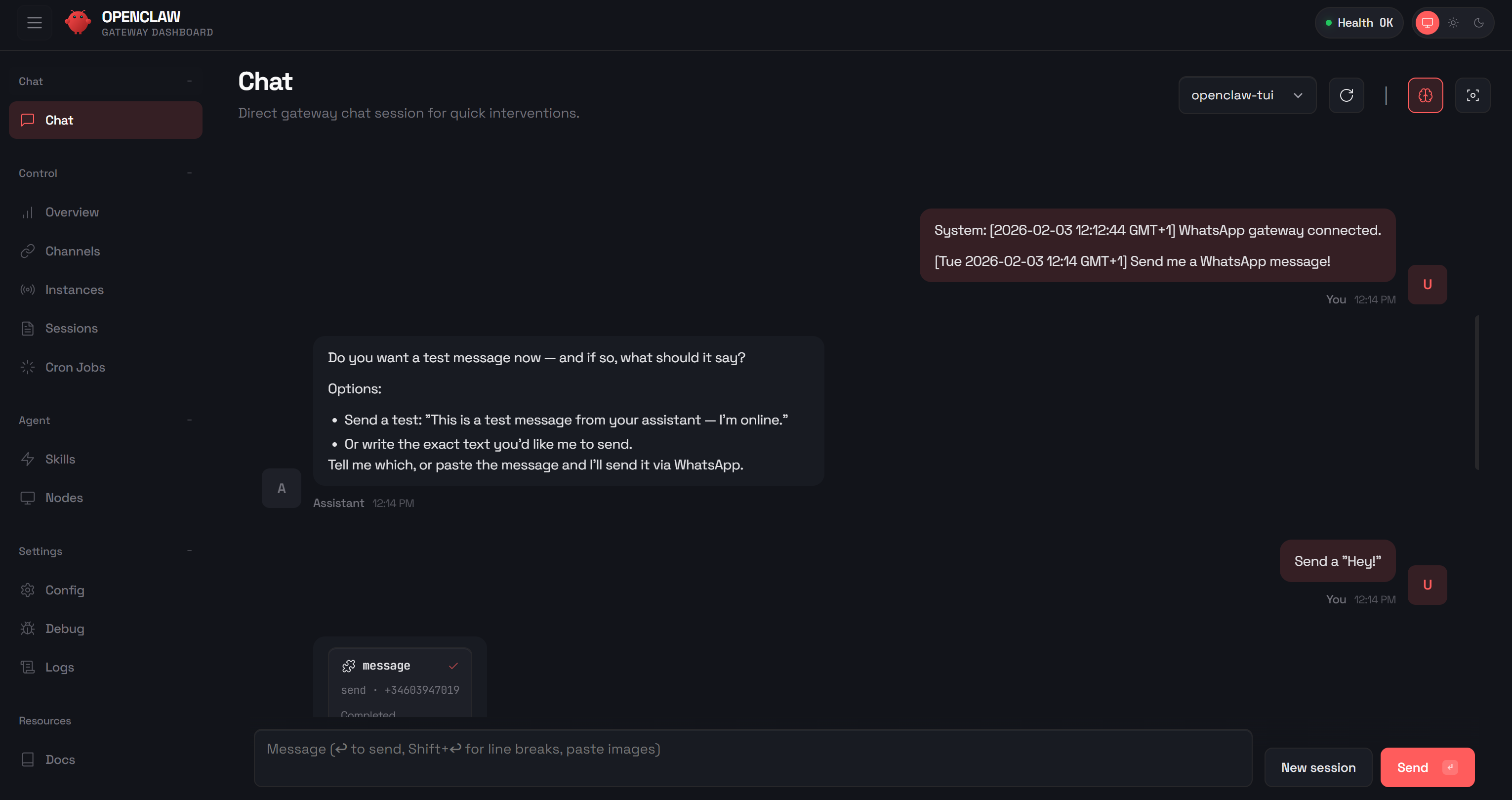 Interacting with your agent in the “Chat” page
