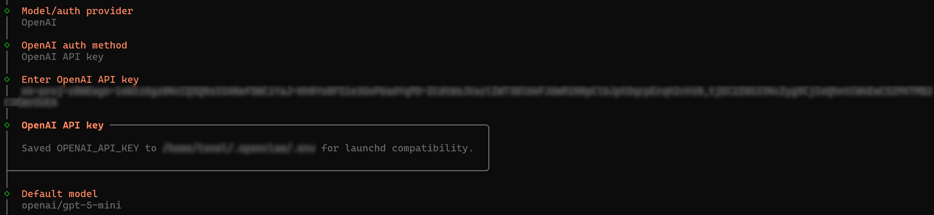 Configuring the LLM provider
