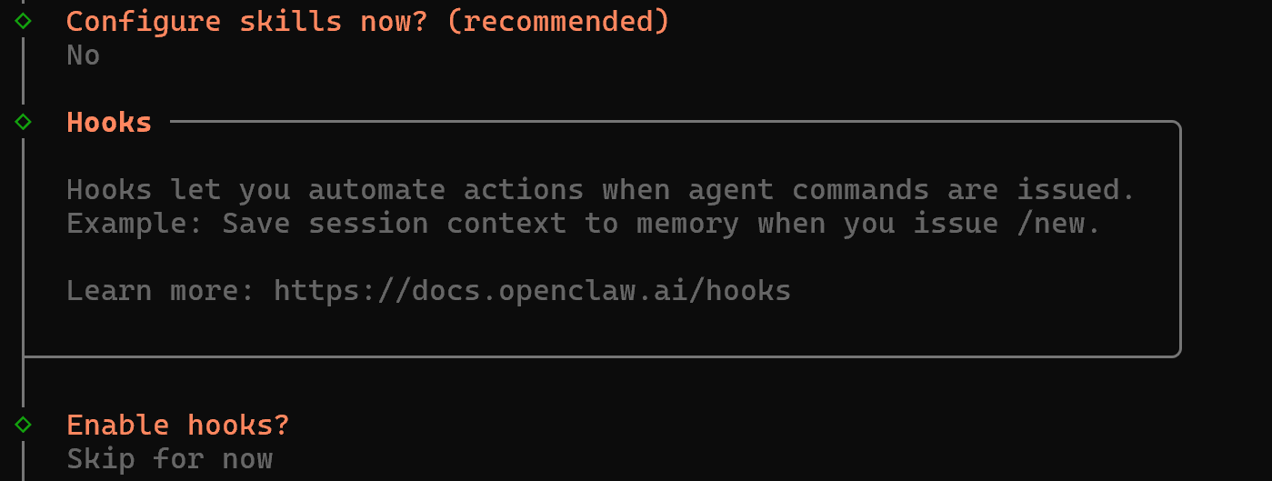Skipping the skill and hook configuration