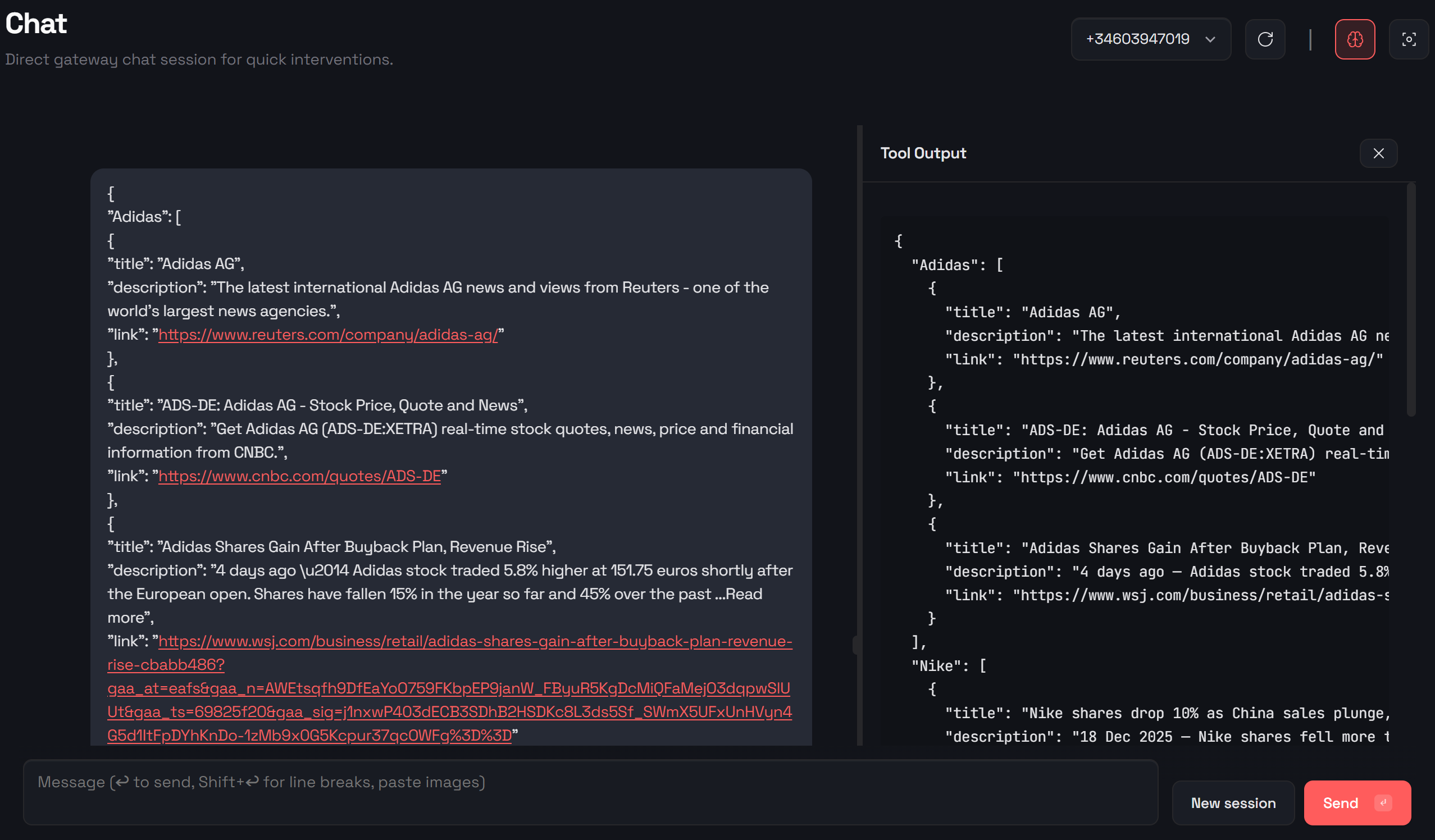 The tool output for the SERP API call