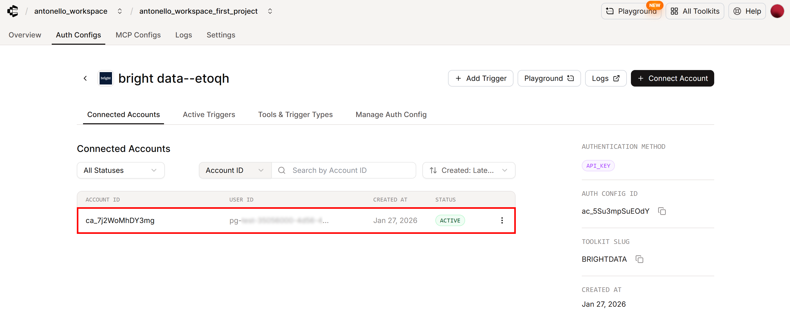 The Bright Data account connection