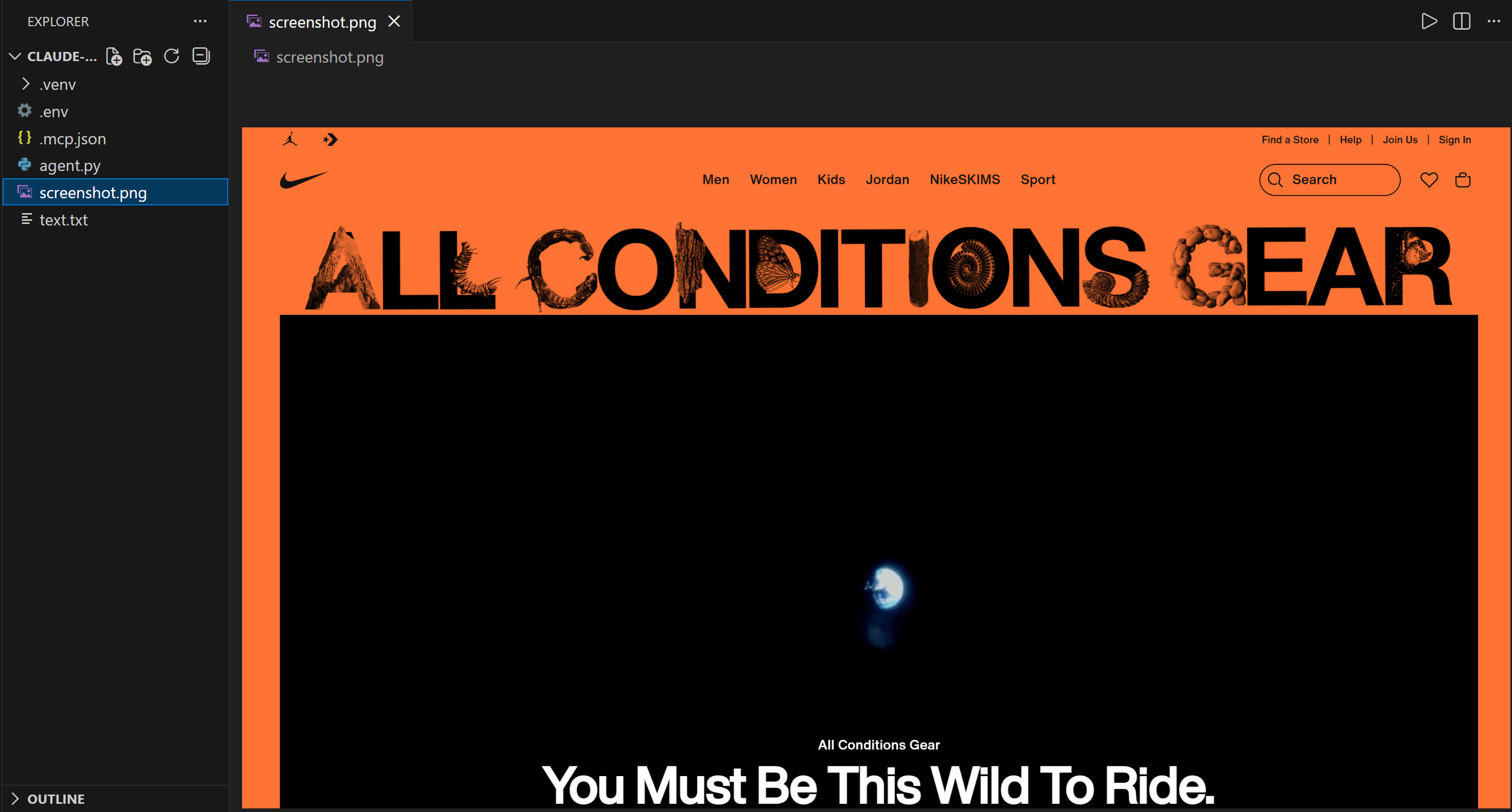 Note the Nike home page's screenshot taken by the agent