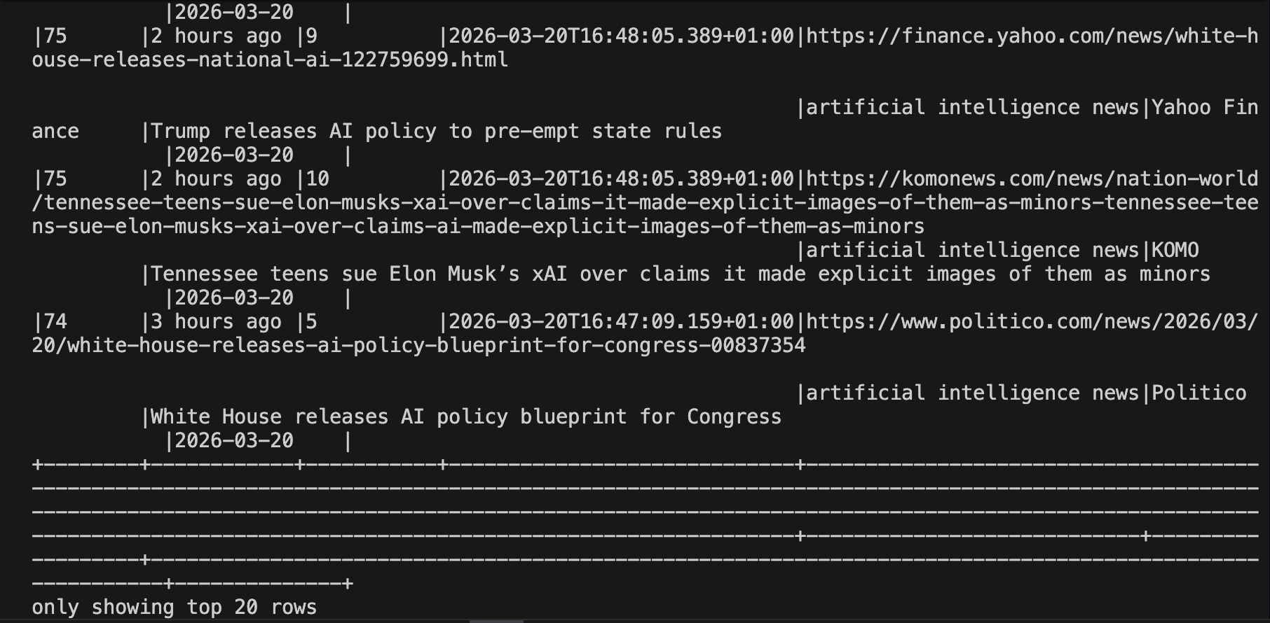 Terminal showing the console output of the enriched DataFrame with SERP results populated in the columns