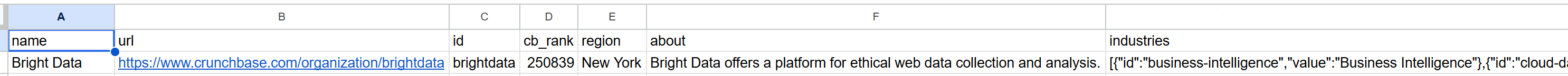 The “company.csv” output file