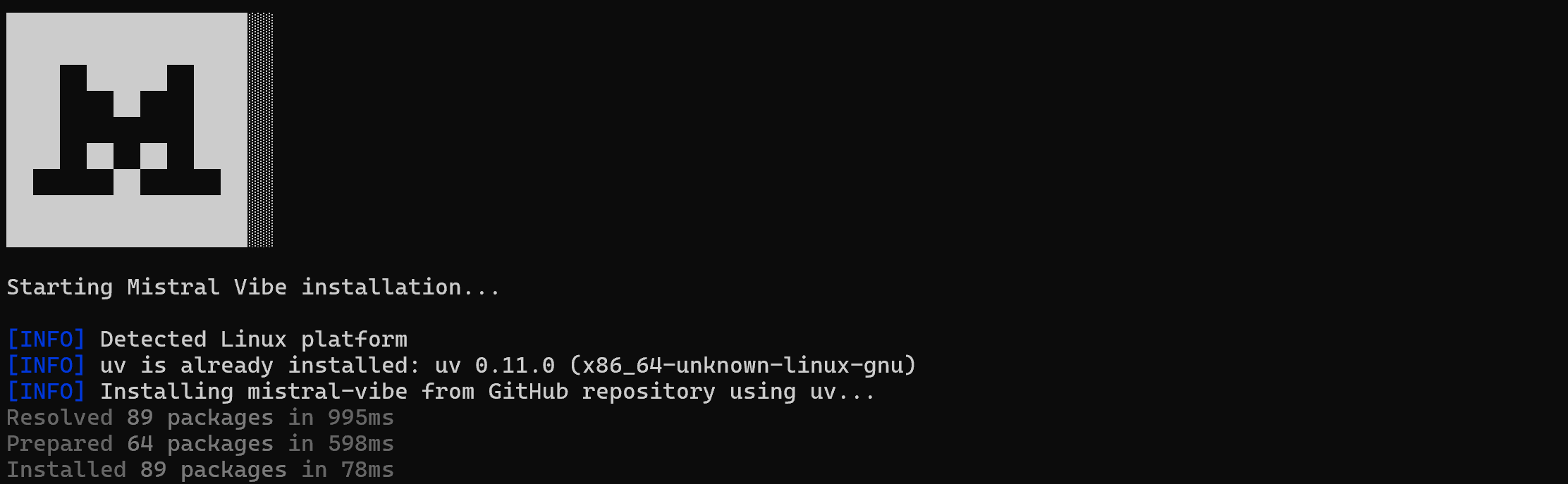 The Mistral Vibe installation tool