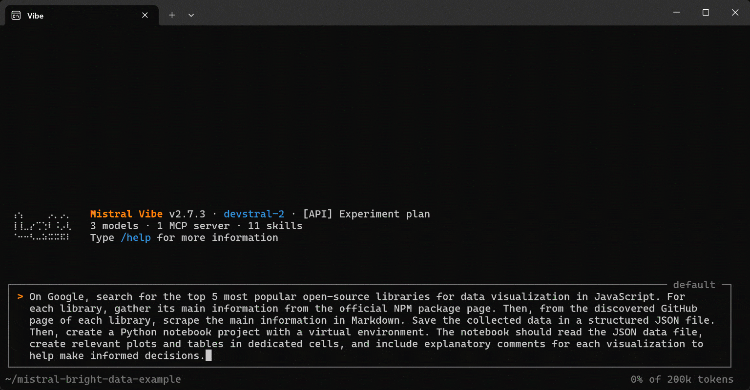 The prompt execution in Mistral Vibe