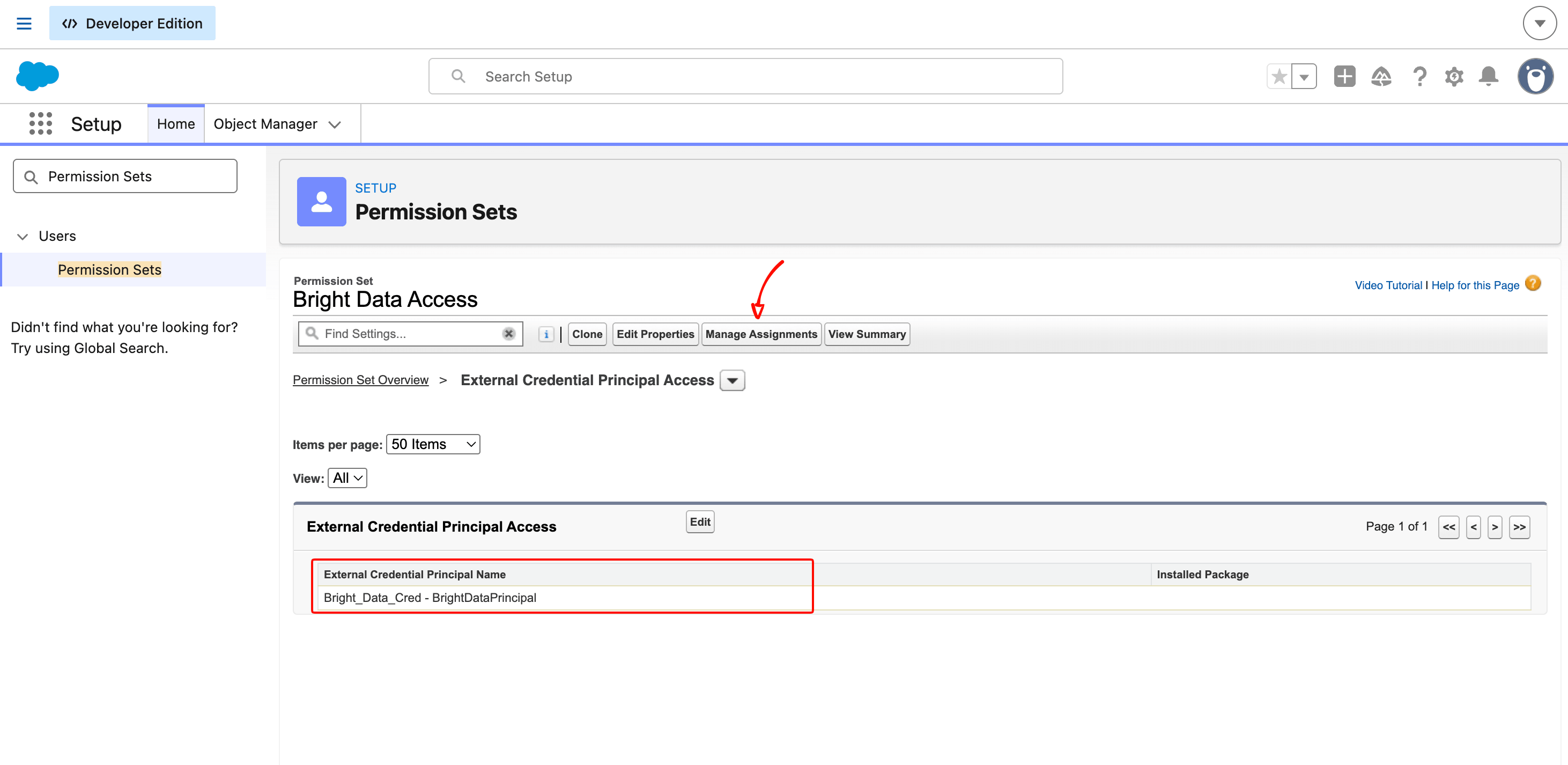 Salesforce Permission Set 'Bright Data Access' showing the External Credential Principal Access section with Bright_Data_Cred - BrightDataPrincipal granted, and the Manage Assignments button visible at the top of the page