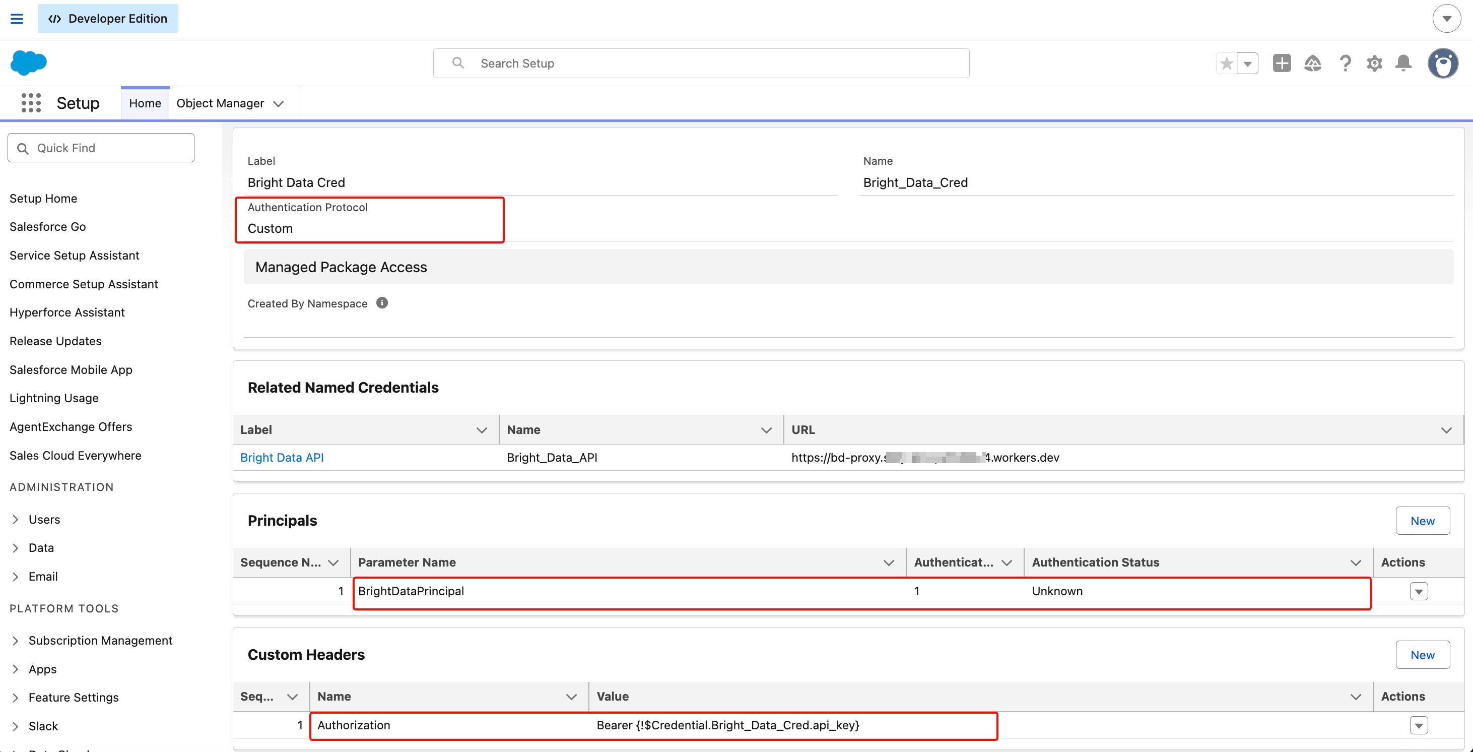 Salesforce Setup showing the Bright_Data_Cred External Credential detail page with Authentication Protocol set to Custom, a Principal named BrightDataPrincipal, and a Custom Header with the value 'Bearer {!$Credential.Bright_Data_Cred.api_key}' visible