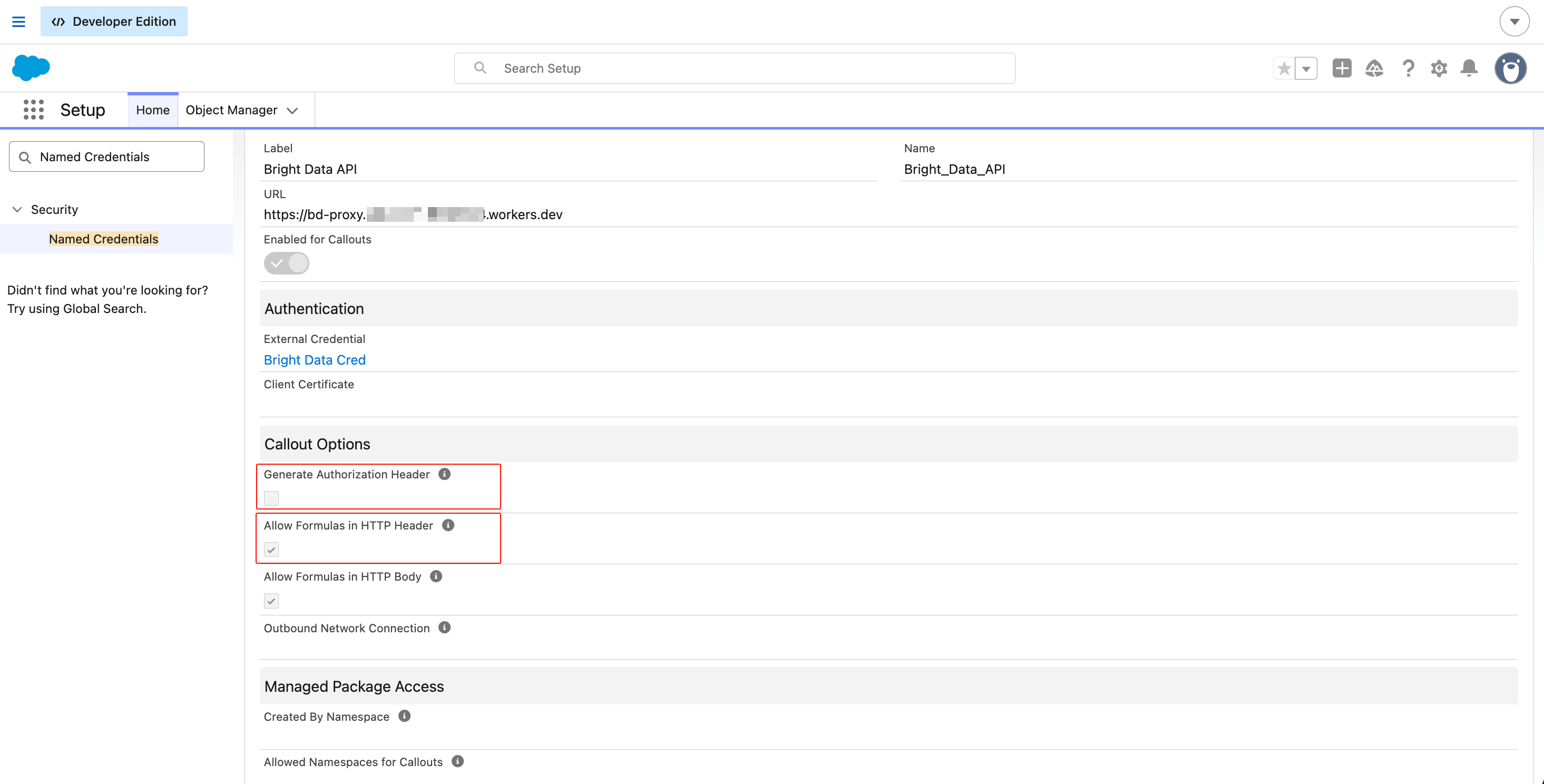 Salesforce Named Credential 'Bright Data API' detail page showing URL pointing to the Cloudflare Worker, the External Credential set to Bright Data Cred, Generate Authorization Header unchecked, Allow Formulas in HTTP Header checked, and Allow Formulas in HTTP Body checked
