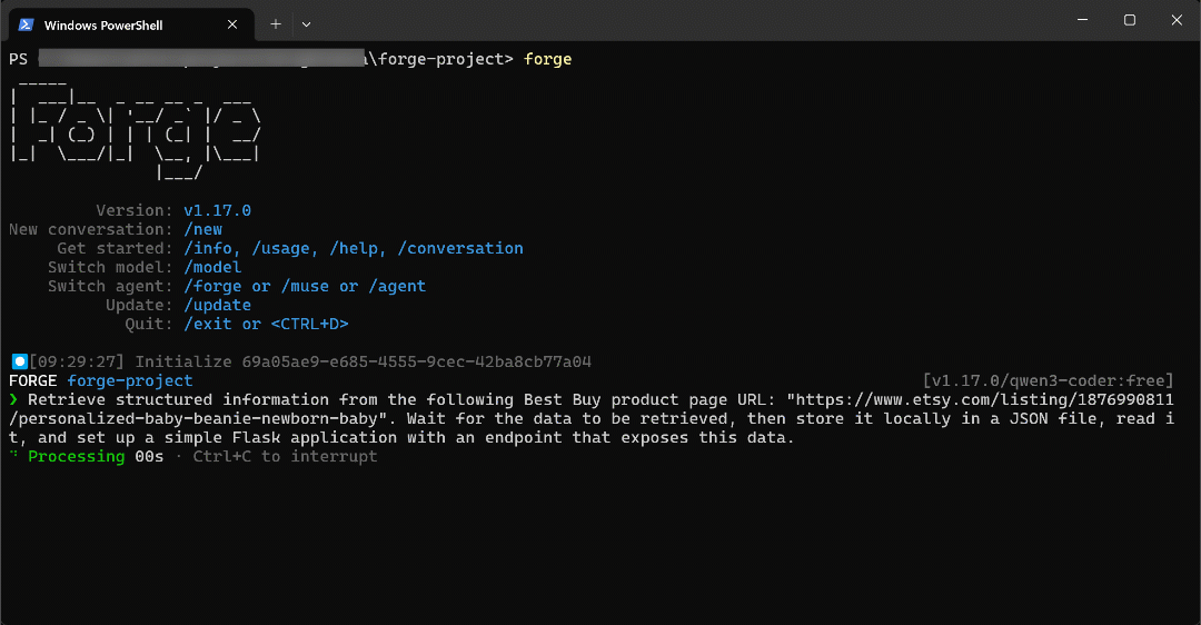 Executing the prompt in Forge