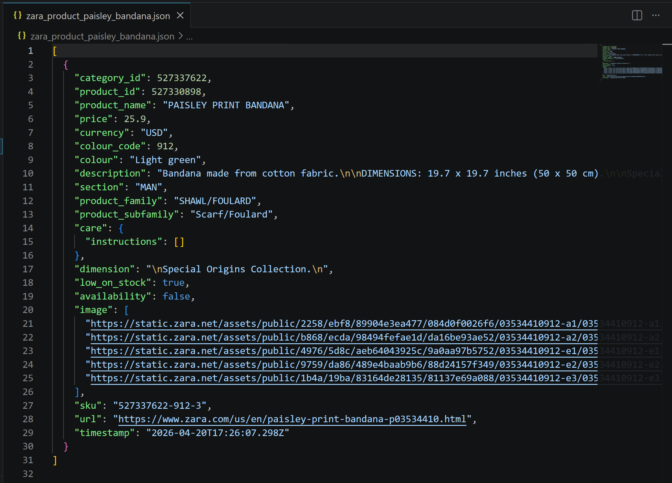 The resulting JSON file
