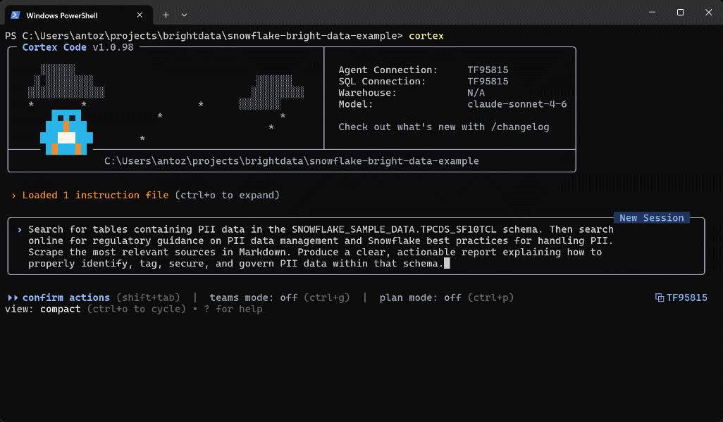 Prompt execution in Cortex Code CLI