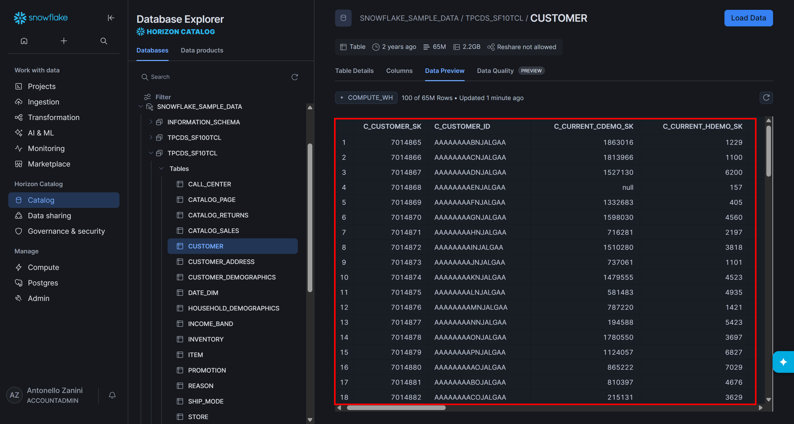 The data in the sample “SNOWFLAKE_SAMPLE_DATA.TPCDS_SF10TCL.CUSTOMER” table