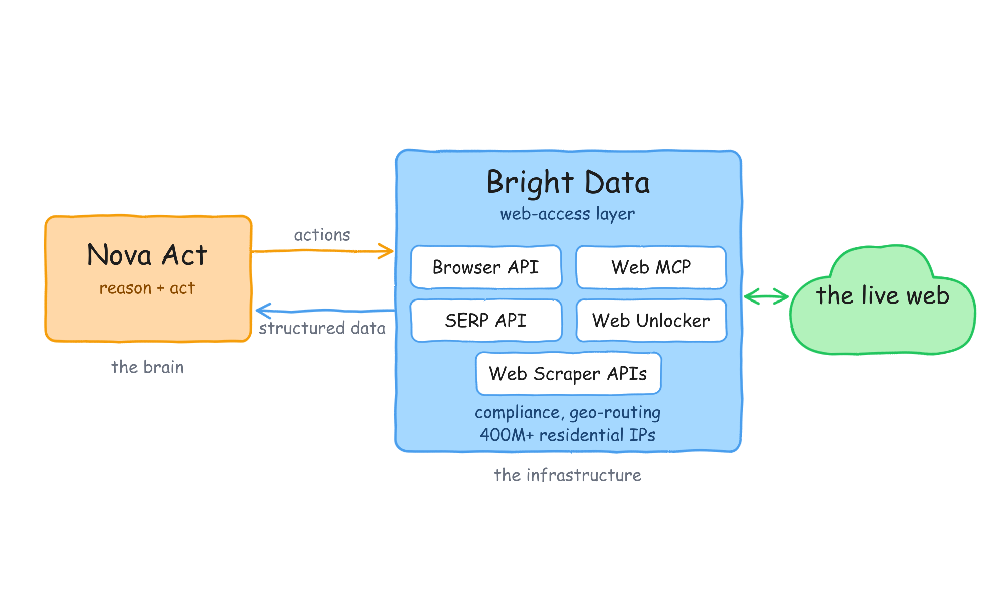 Architecture diagram: Nova Act (the brain) sends actions to Bright Data's web-access layer and receives structured data back. The layer provides the Browser API, Web MCP, SERP API, Web Unlocker, and Web Scraper APIs, plus compliance, geo-routing, and 400M+ residential IPs, and reaches the live web.