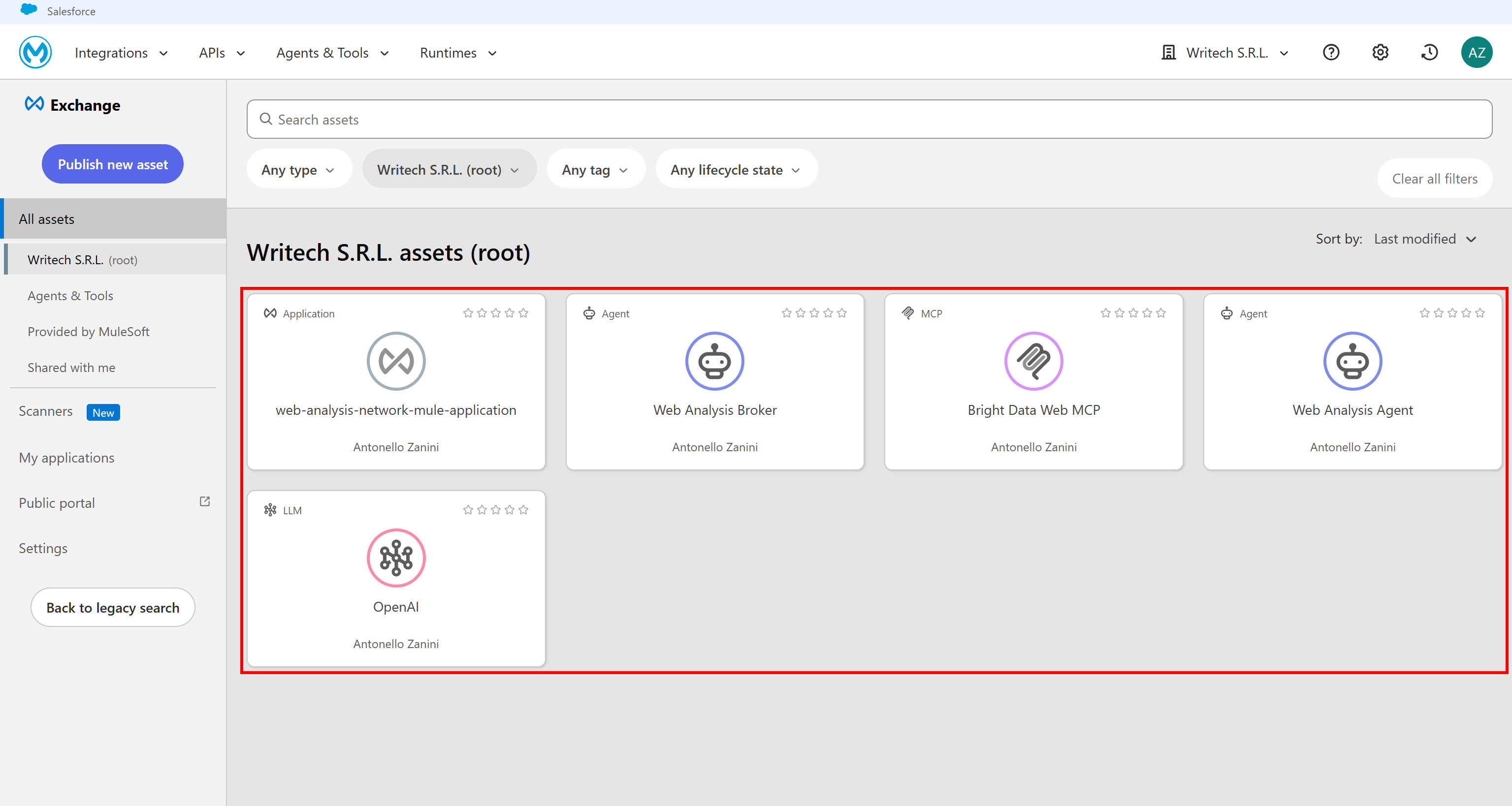 Note the assets generated by publishing the agent network project