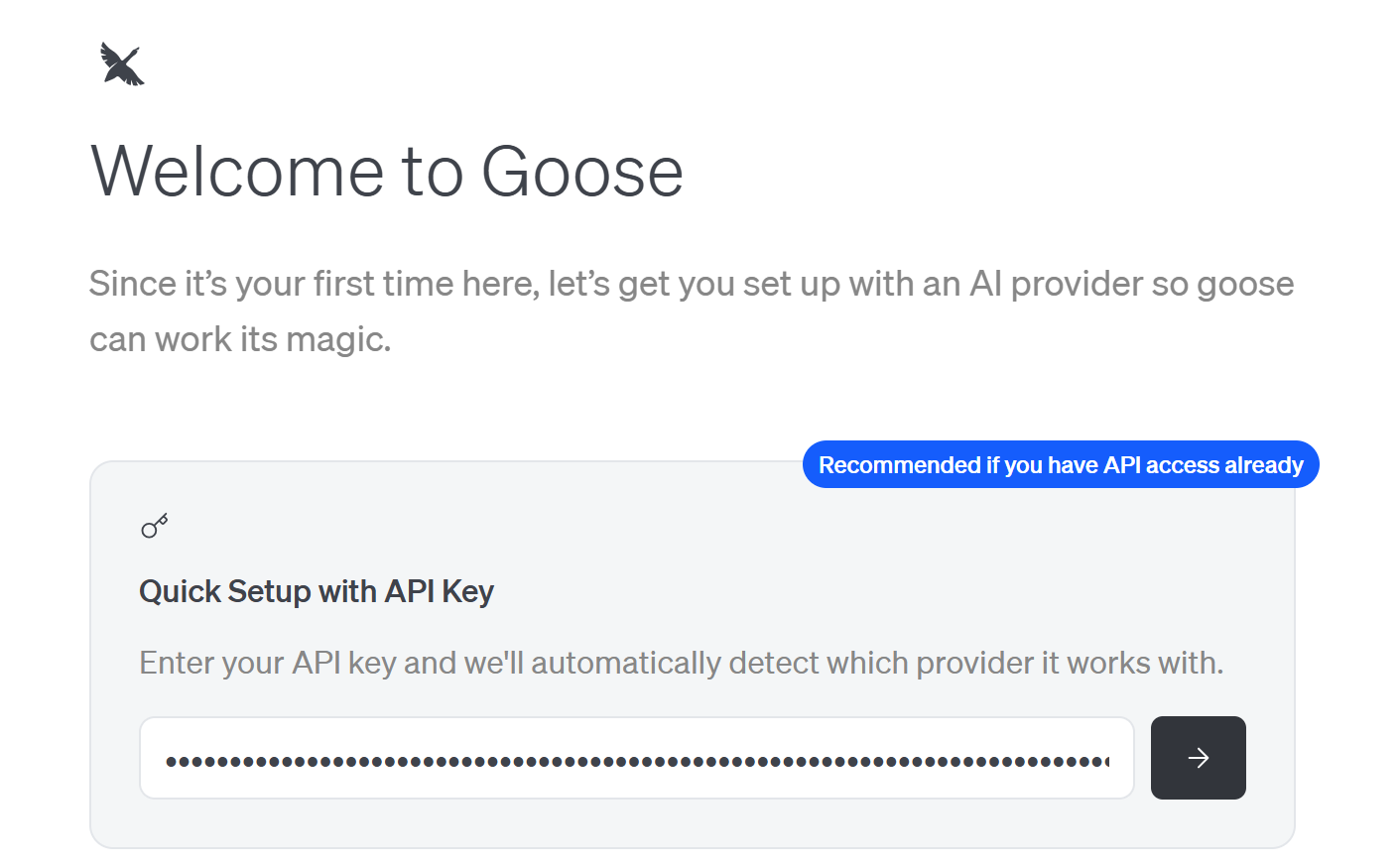 Pasting your AI provider API key