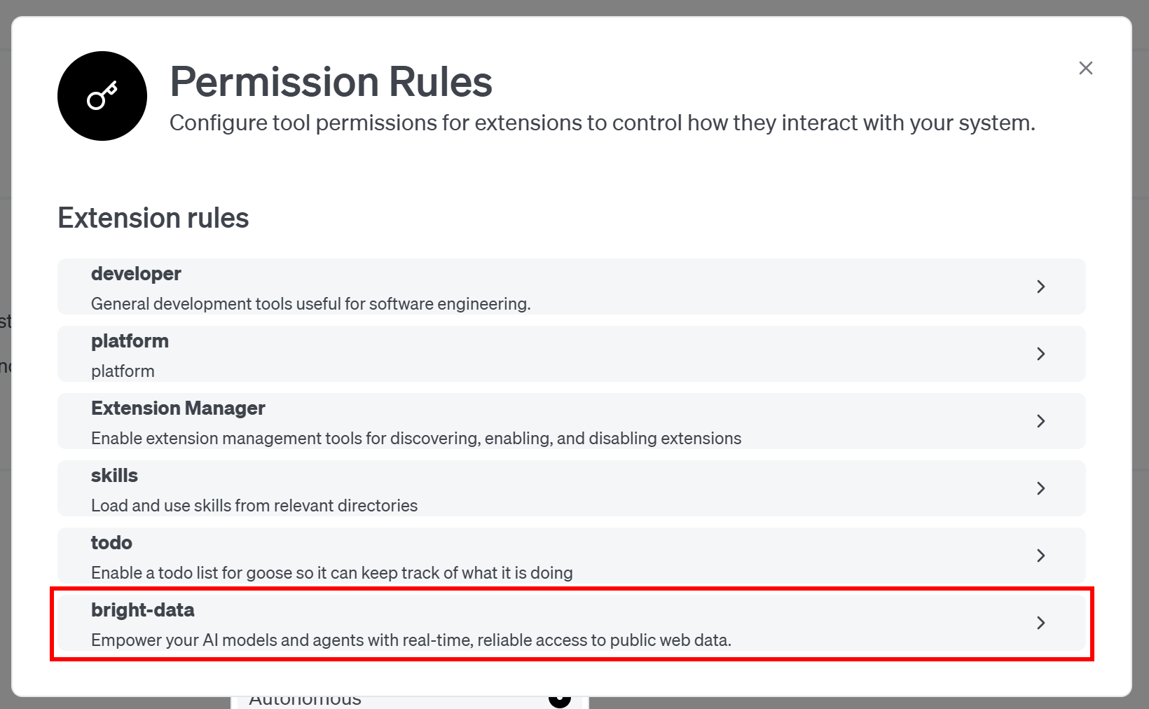 Selecting the “bright-data” extension