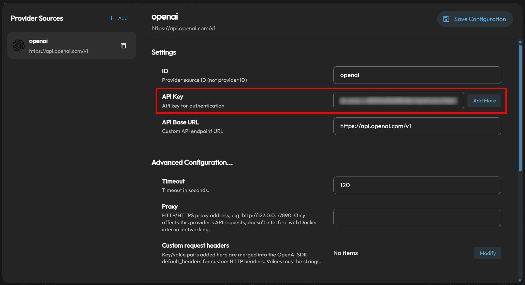 Adding the OpenAI API key