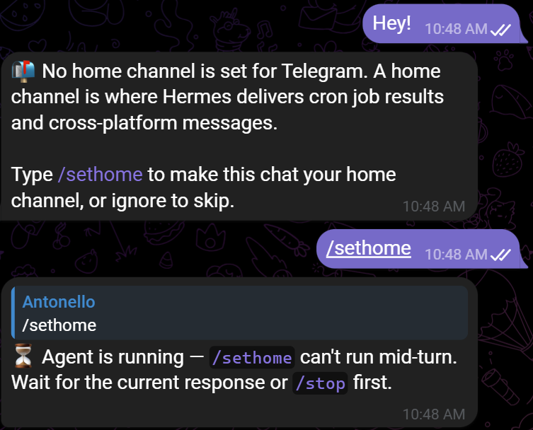 Finalizing the Telegram connection