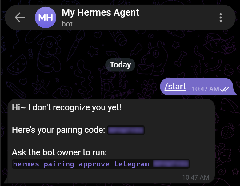 Starting your Telegram bot connected to Hermes Agent