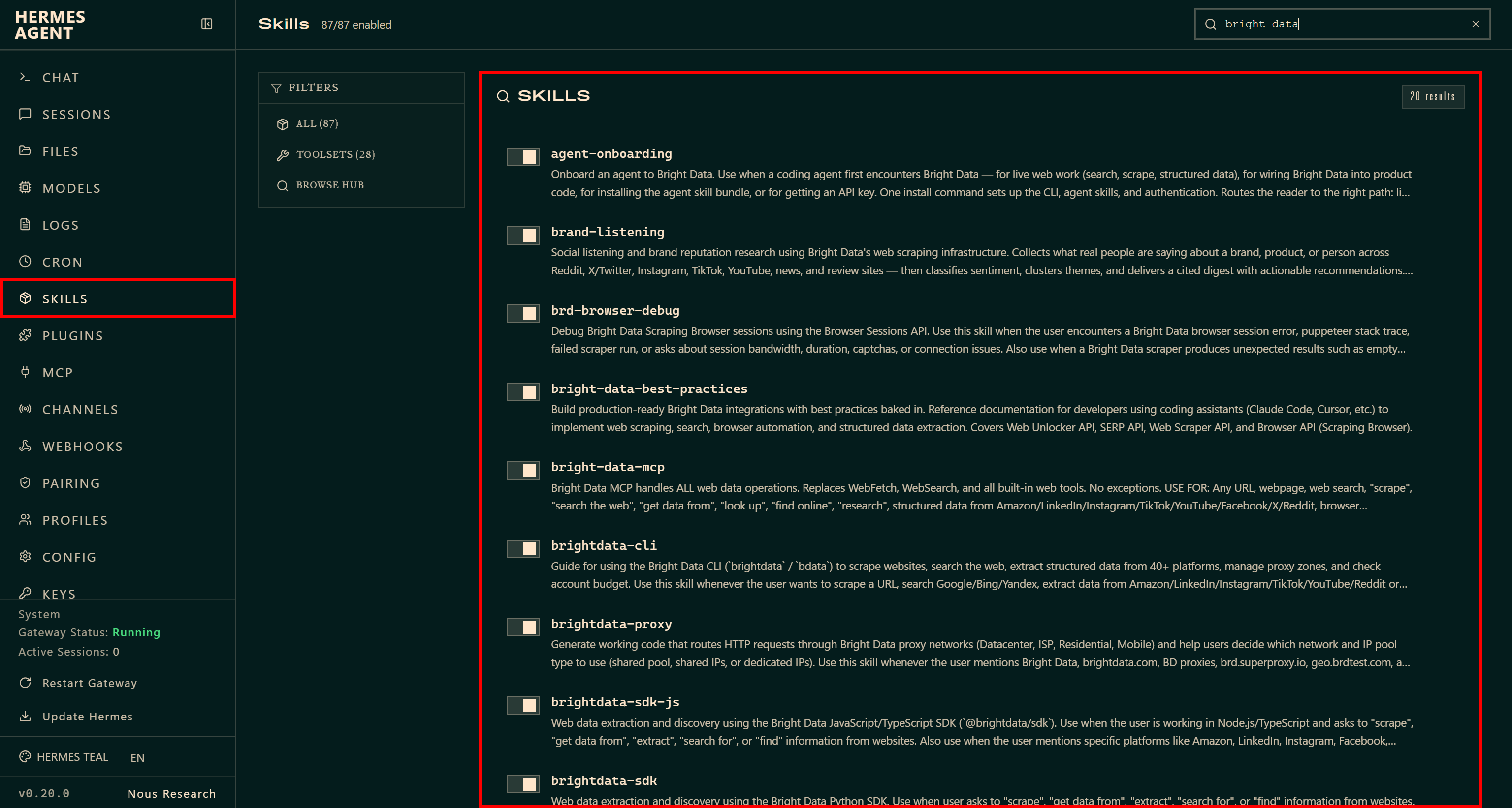 Note the Bright Data skills on the “SKILLS” page