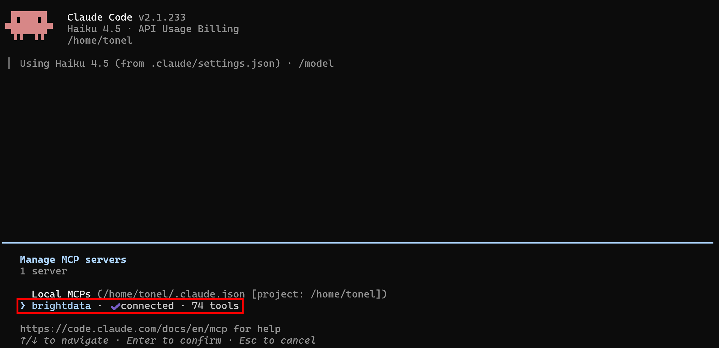 Note the Bright Data Web MCP connection in Claude Code