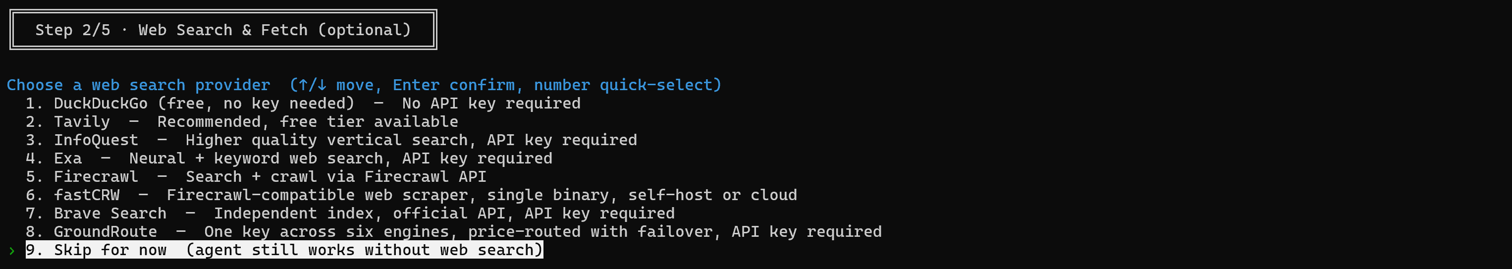 Skip the web search and fetch configurtion