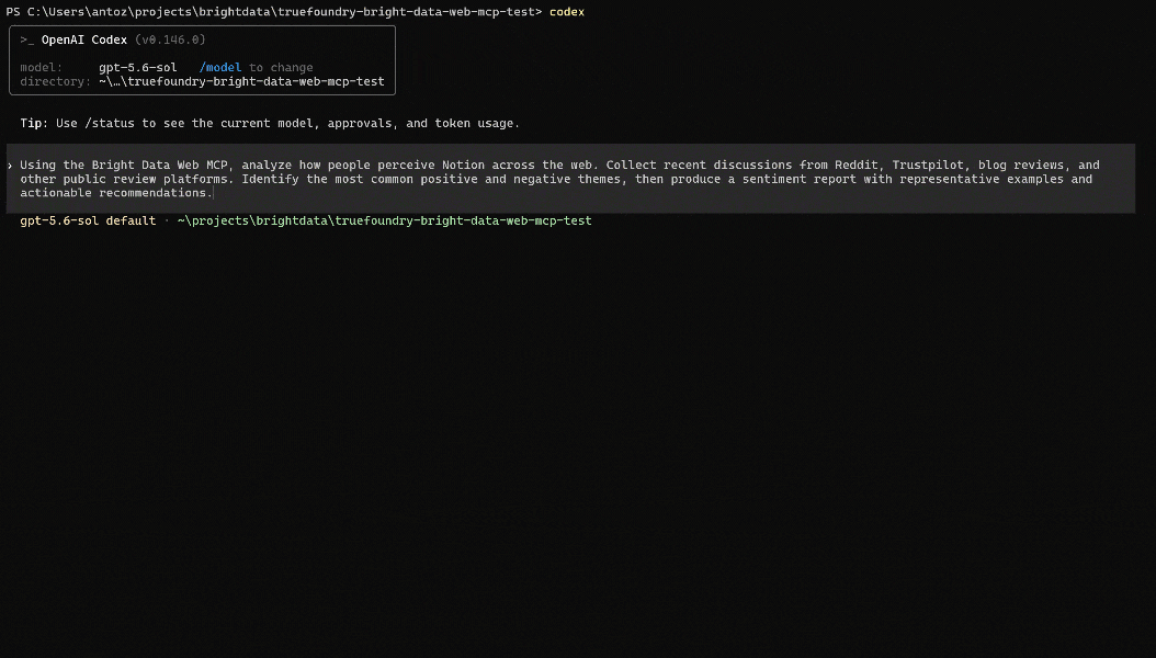 Prompt execution in OpenAI Codex CLI