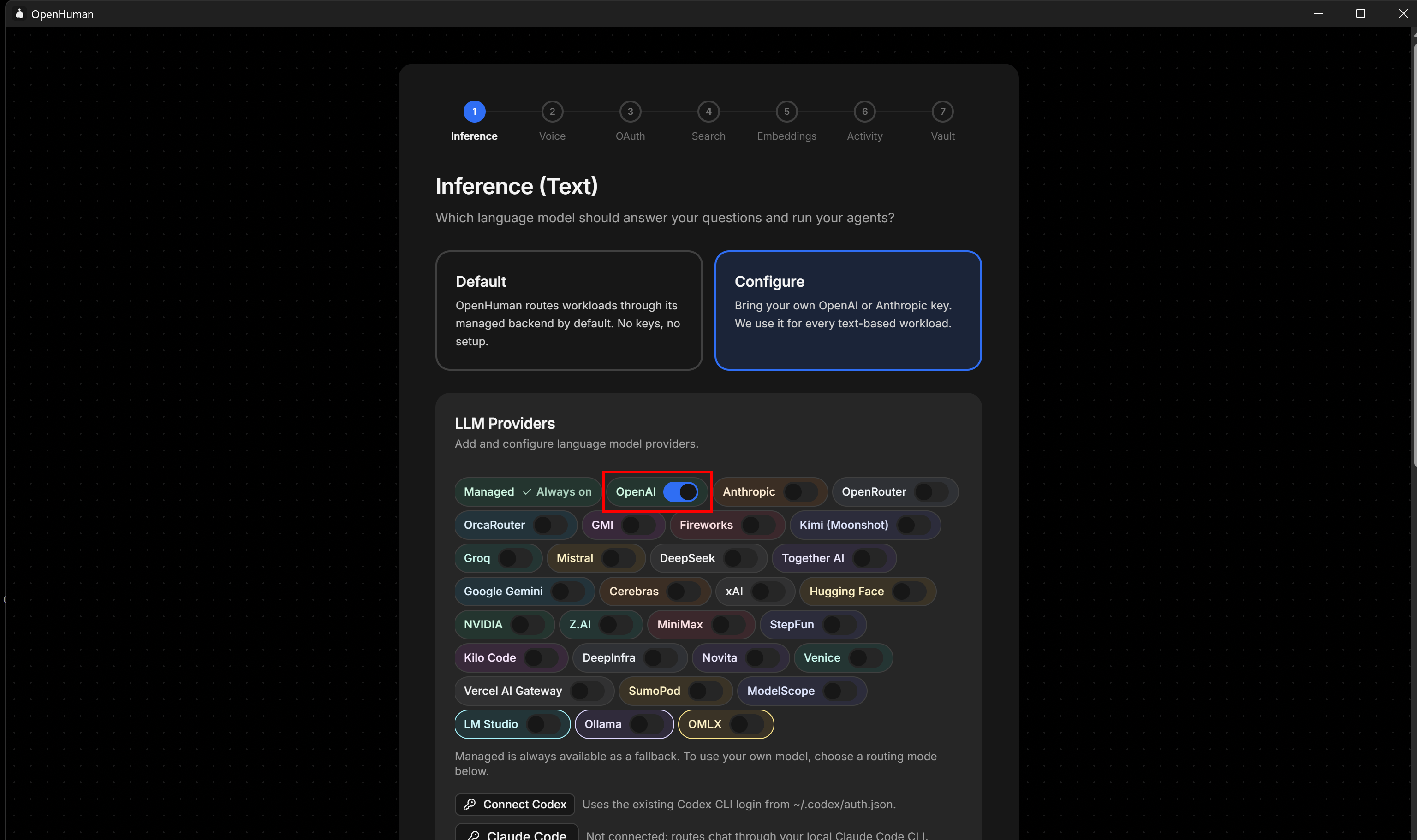 Adding the OpenAI API key