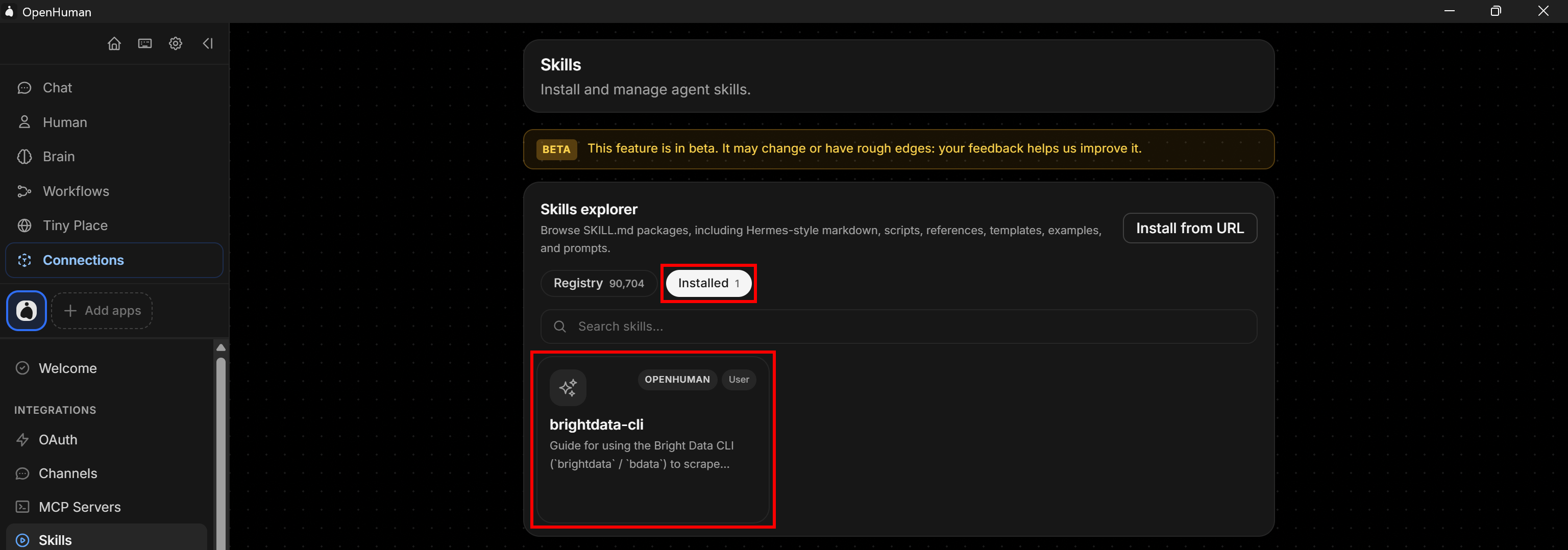 Note the installed “brightdata-cli” skill