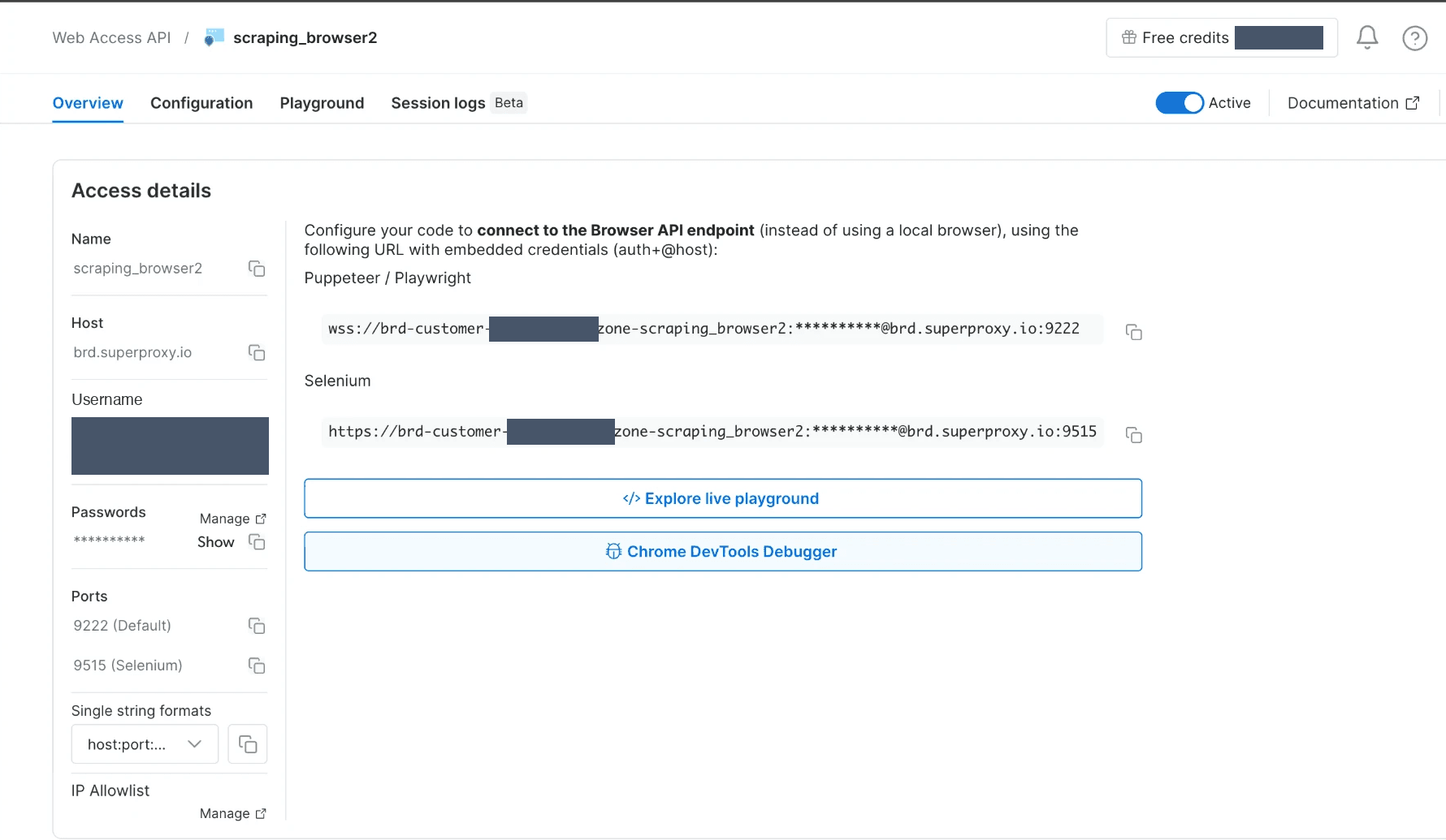 Browser API zone Overview tab with the Access details panel, masked password, and the wss connection URL.