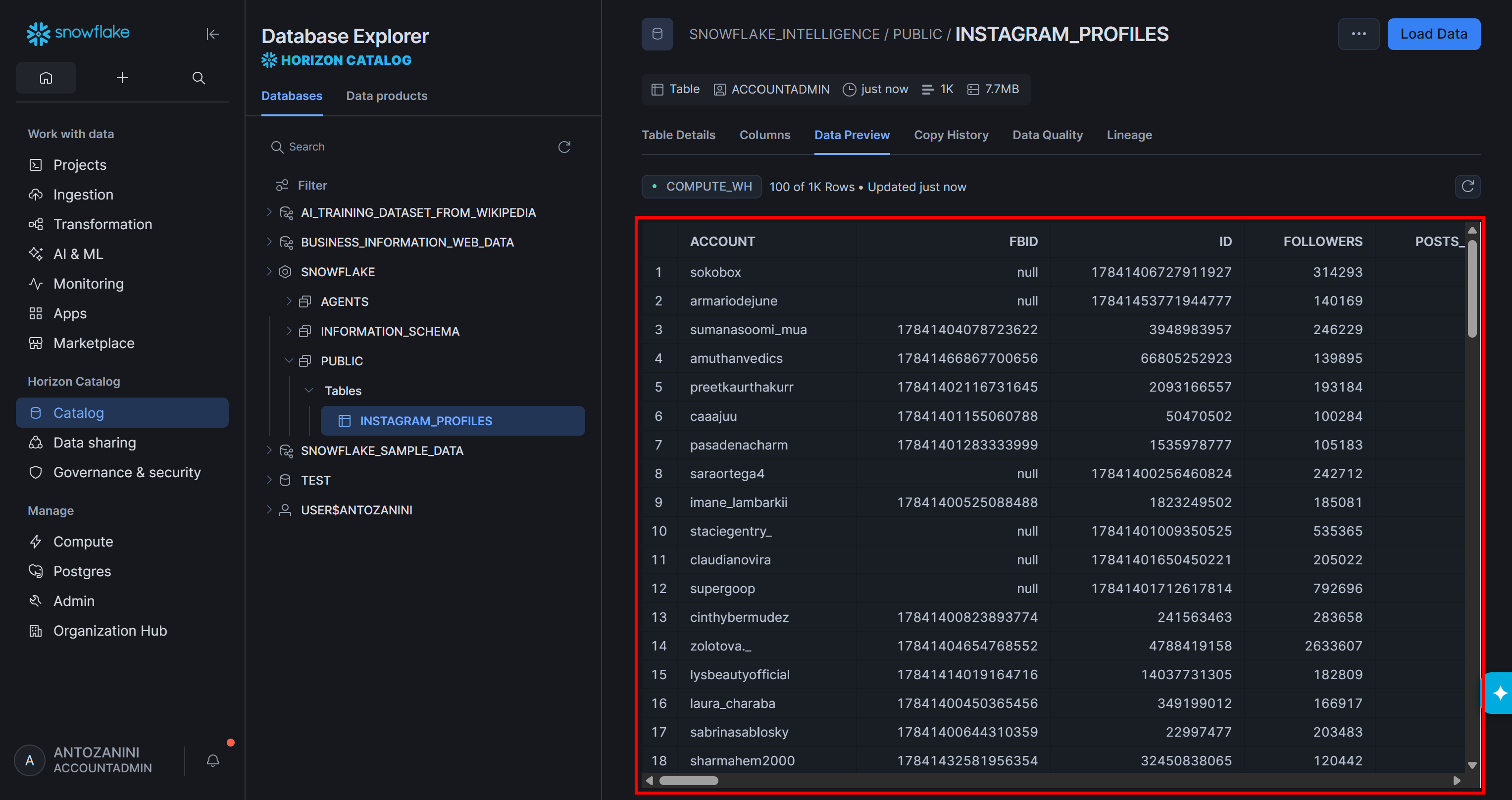 The imported data in Snowflake