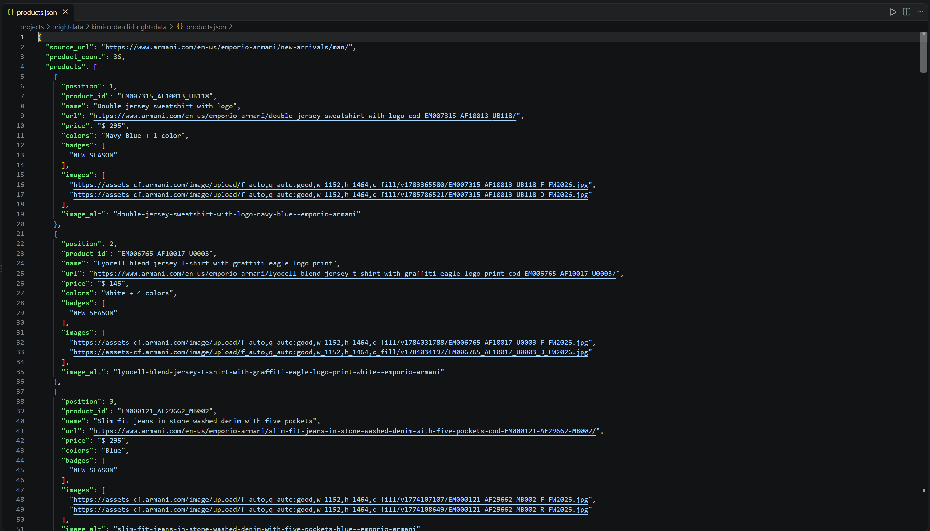 The “products.json” output produced by the agent