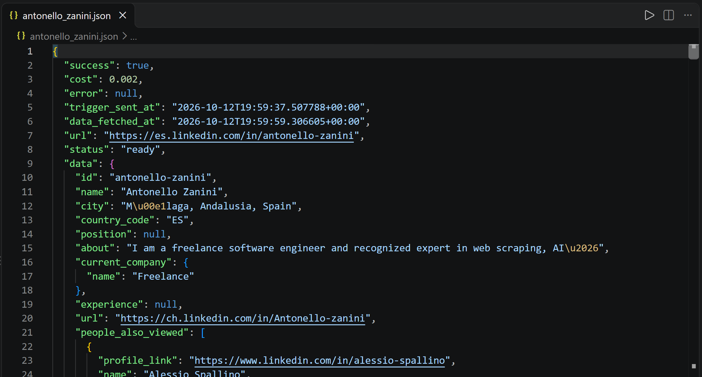 The output “antonello_zanini.json” file